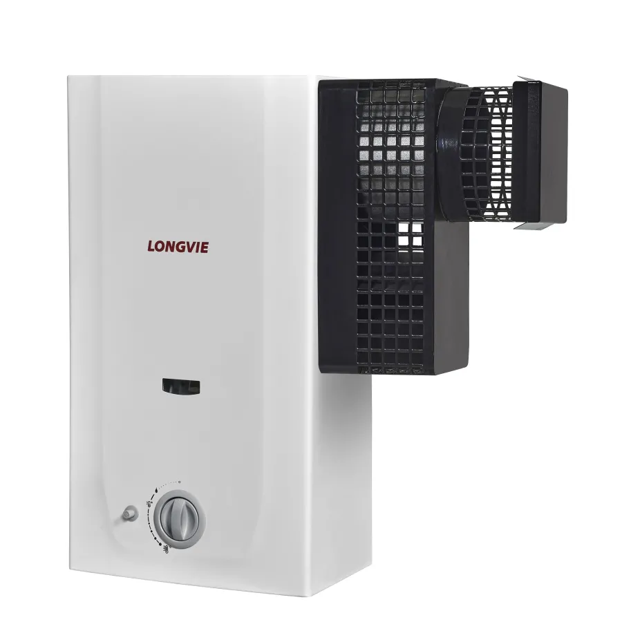 CALEFACTOR LONGVIE N214SSF E G/ENVASADO