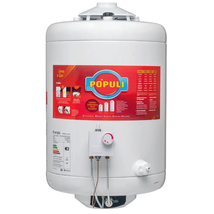 TERMOTANQUE POPULI 45 GN